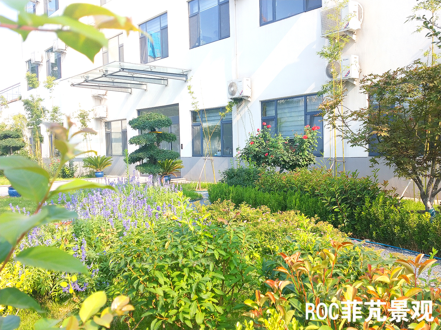 菲芃景观·春夏养护